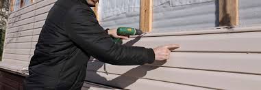 Best Custom Trim and Detailing for Siding  in USA